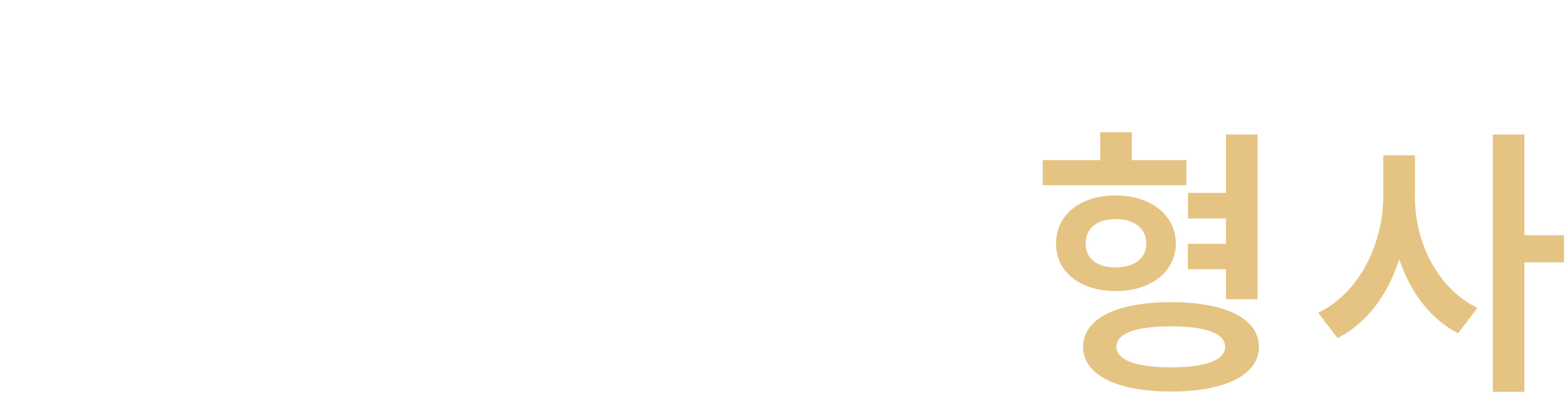 형사변호사 형사전문변호사 채의준 - 법무법인 태하